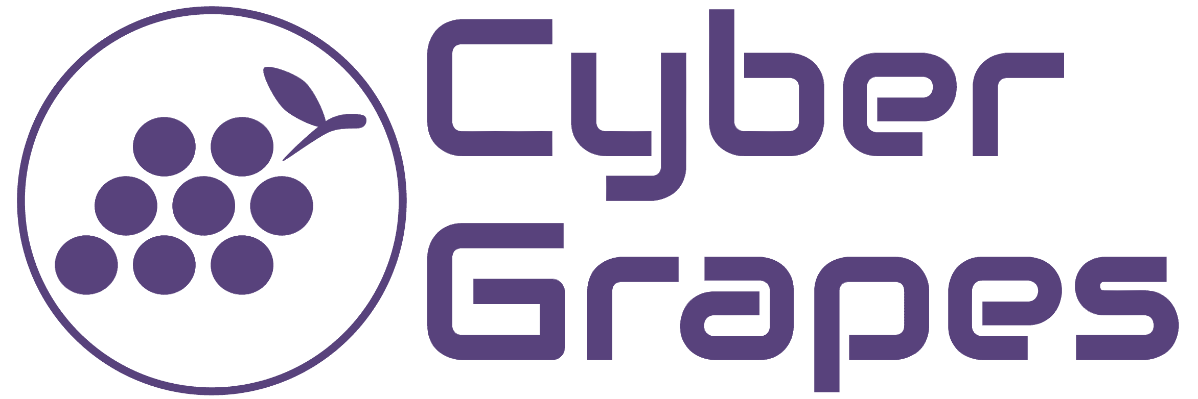 Cyber Grapes Services